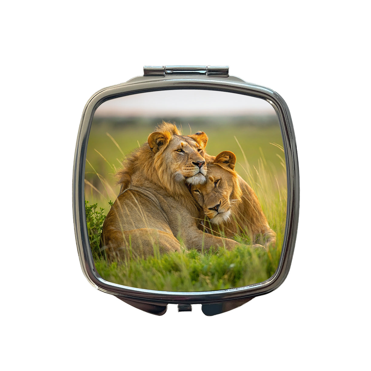 Lions Love Affection Small Travel Purse Handbag Pocket Makeup Compact Mirror