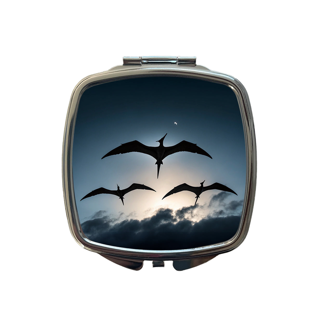 Pterodactylus Silhouettes Flying Dinosaurs Small Travel Purse Handbag Pocket Makeup Compact Mirror