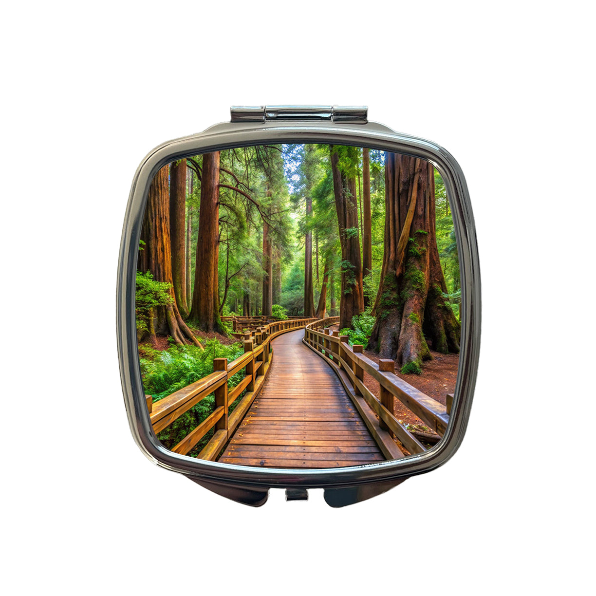 Muir Woods National Monument California Watercolor Style Small Travel Purse Handbag Pocket Makeup Compact Mirror