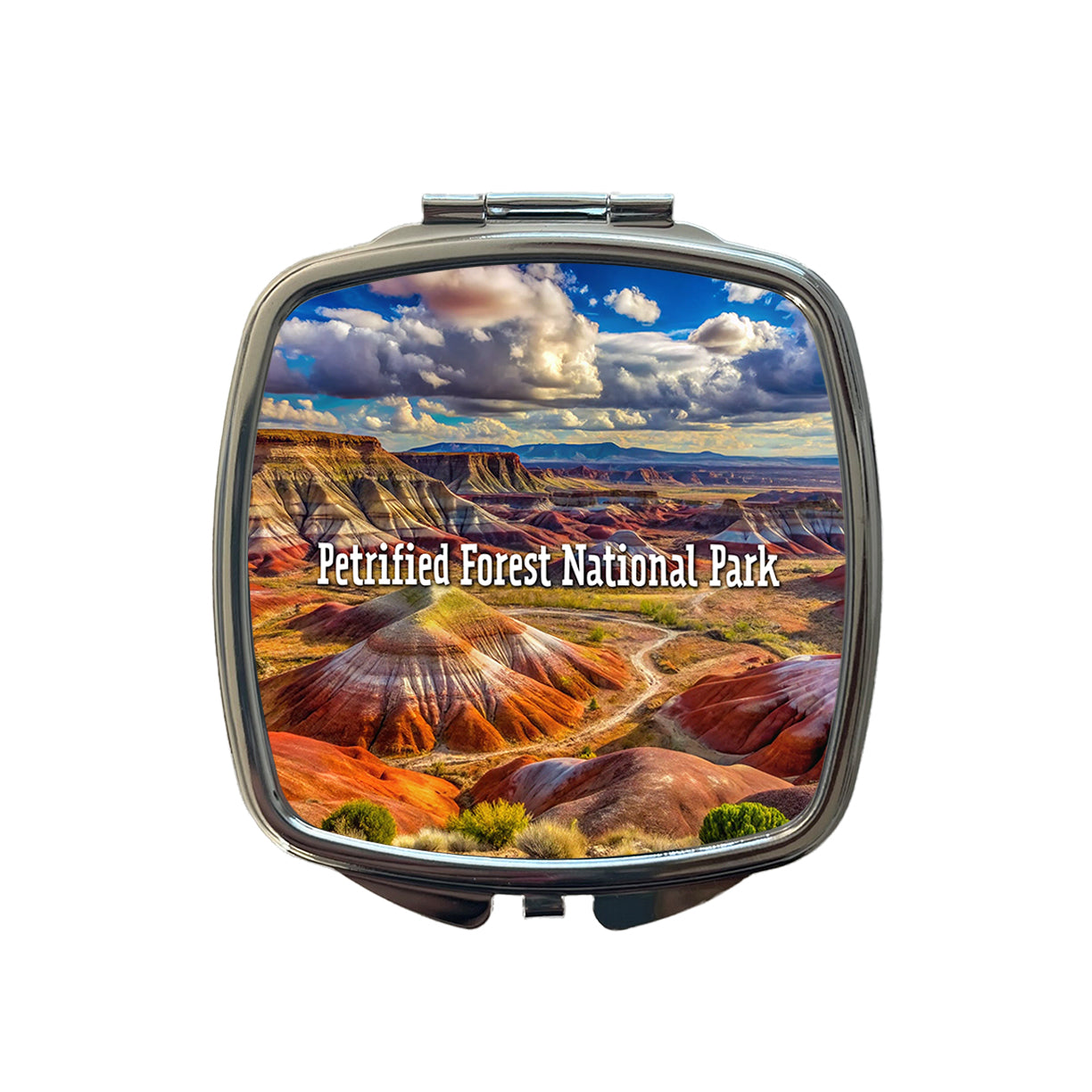 Petrified Forest National Park Arizona Small Travel Purse Handbag Pocket Makeup Compact Mirror
