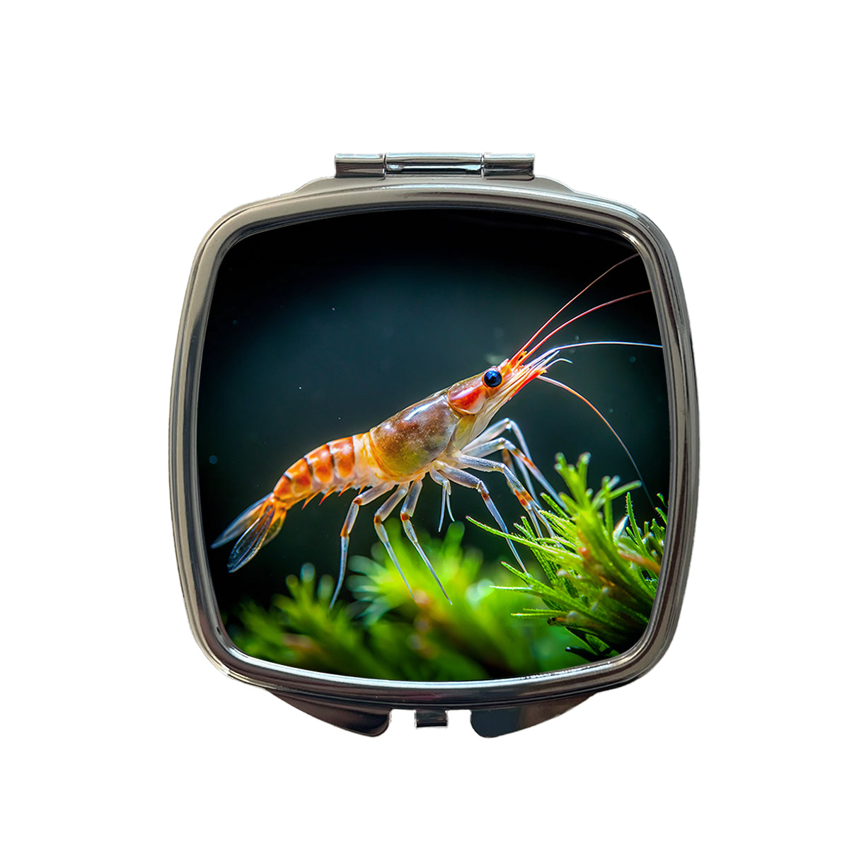 Shrimp Swimming Small Travel Purse Handbag Pocket Makeup Compact Mirror