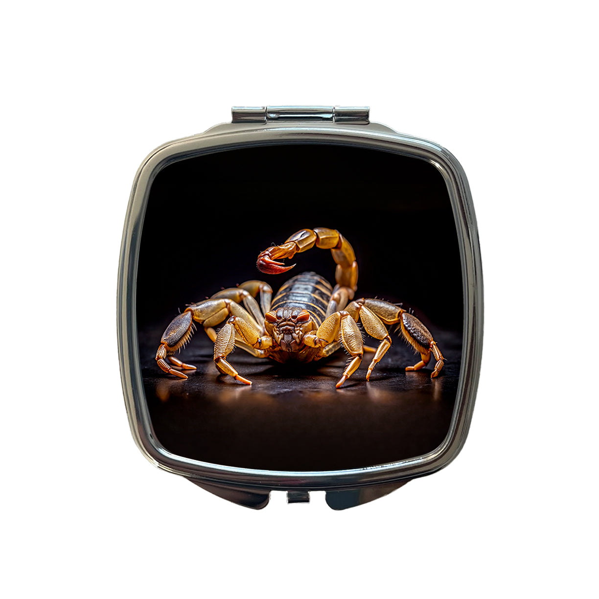 Angry Scorpion Black Background Small Travel Purse Handbag Pocket Makeup Compact Mirror
