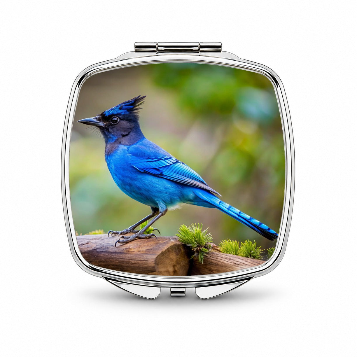 Stellar's Jay Backyard Bird Small Travel Purse Handbag Pocket Makeup Compact Mirror