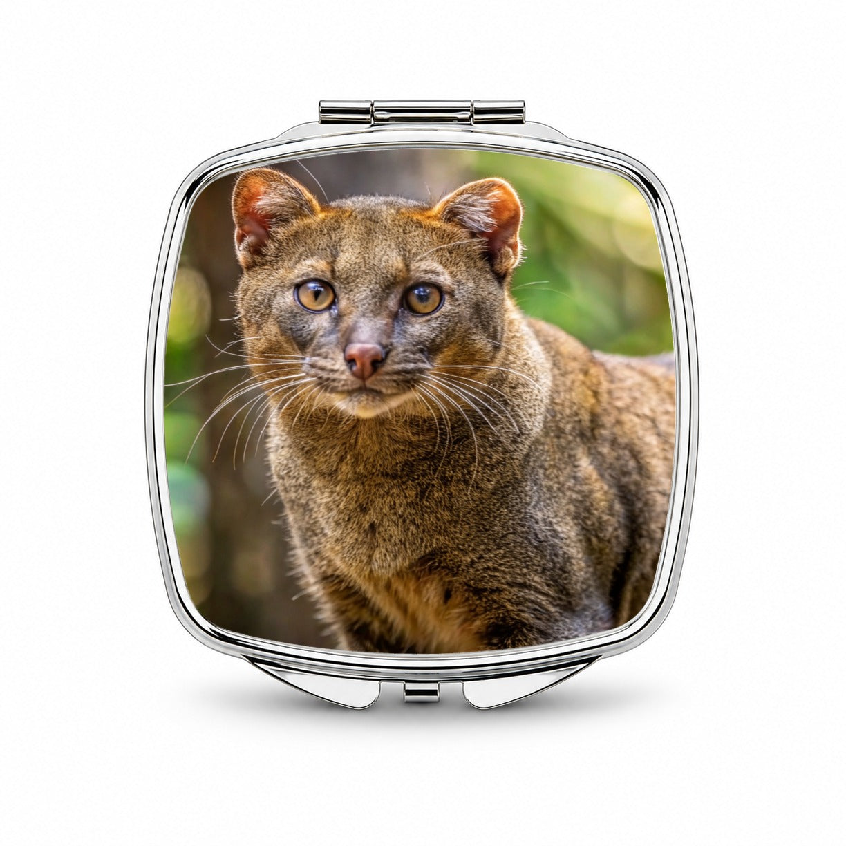 Jaguarundi Otter Cat Photo Small Travel Purse Handbag Pocket Makeup Compact Mirror