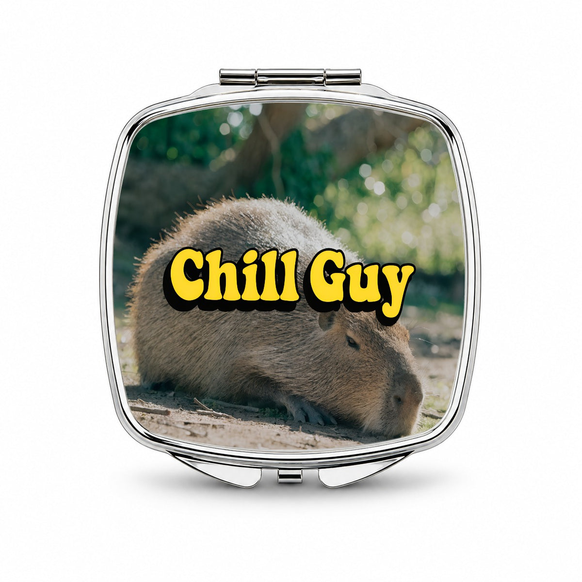 Chill Guy Capybara Funny Small Travel Purse Handbag Pocket Makeup Compact Mirror
