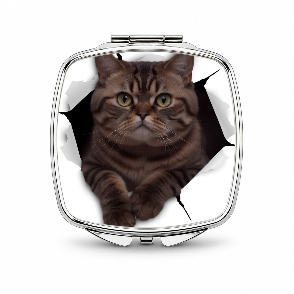 Exotic Shorthair Cat Breakout Small Travel Purse Handbag Pocket Makeup Compact Mirror