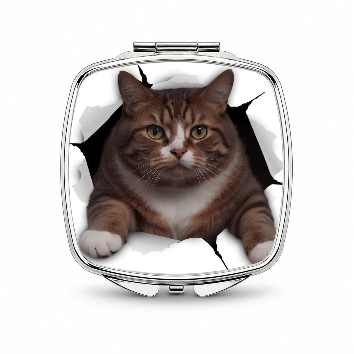 Fat Cat Breakout Small Travel Purse Handbag Pocket Makeup Compact Mirror