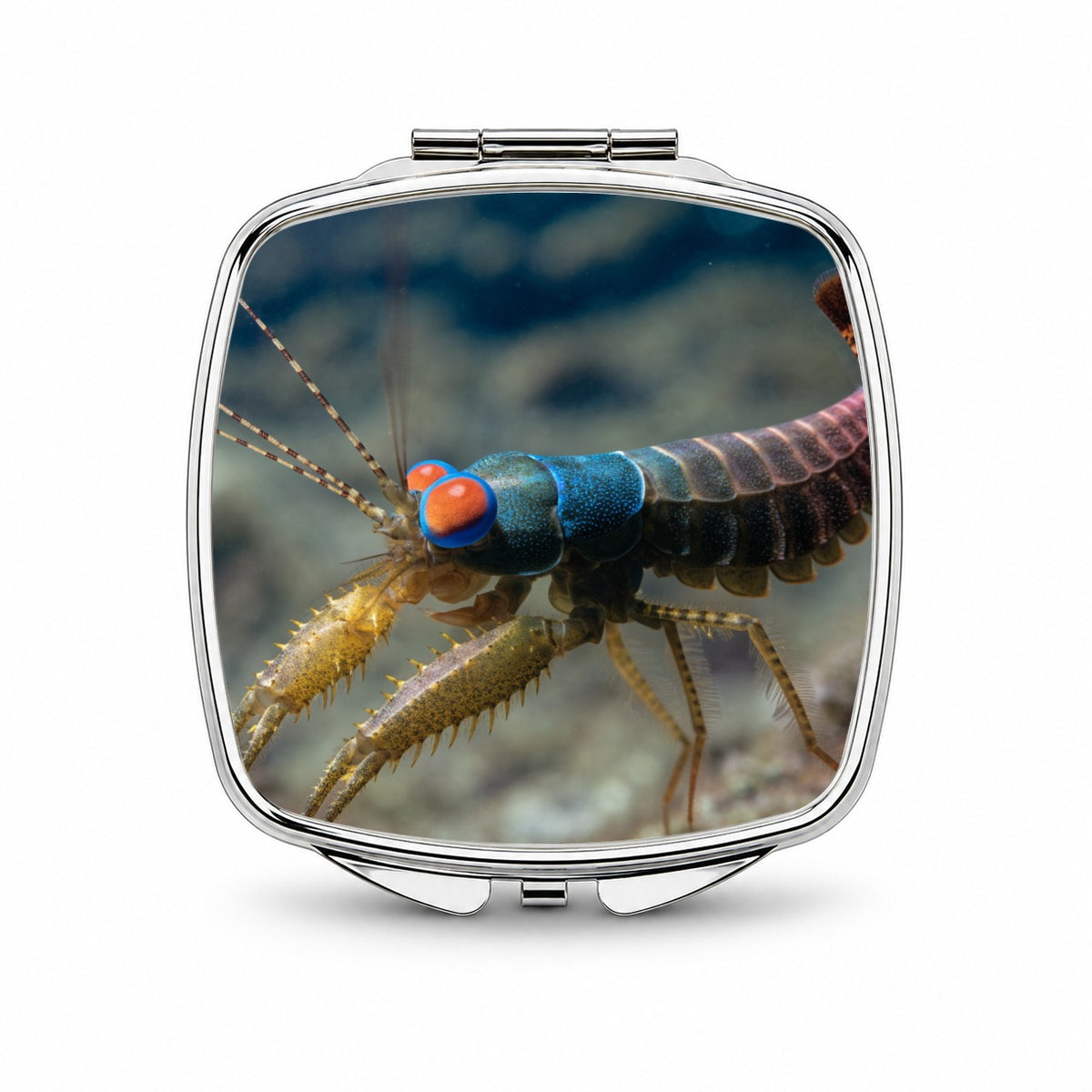 Mantis Shrimp Small Travel Purse Handbag Pocket Makeup Compact Mirror