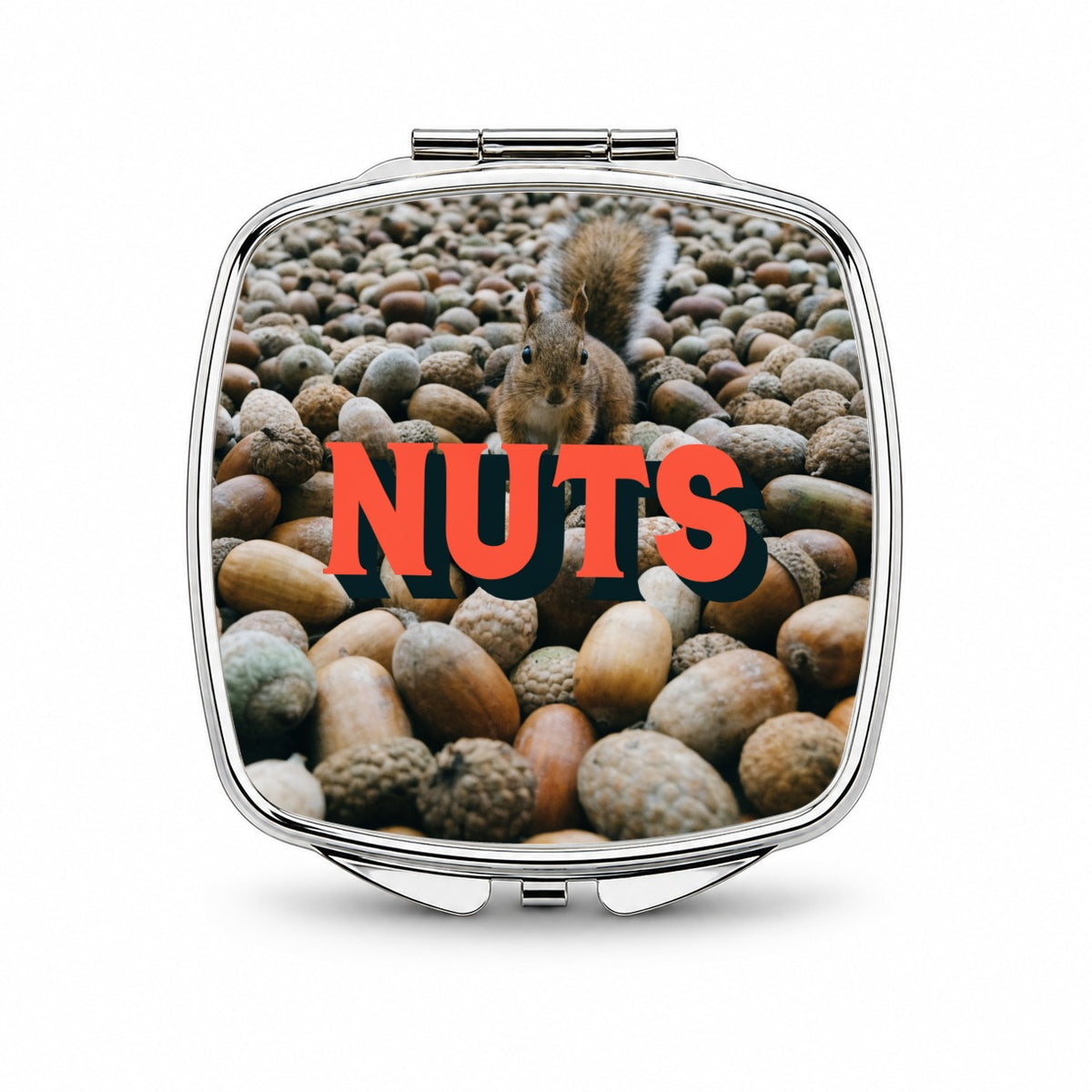 Nuts Funny Squirrel Photo Small Travel Purse Handbag Pocket Makeup Compact Mirror