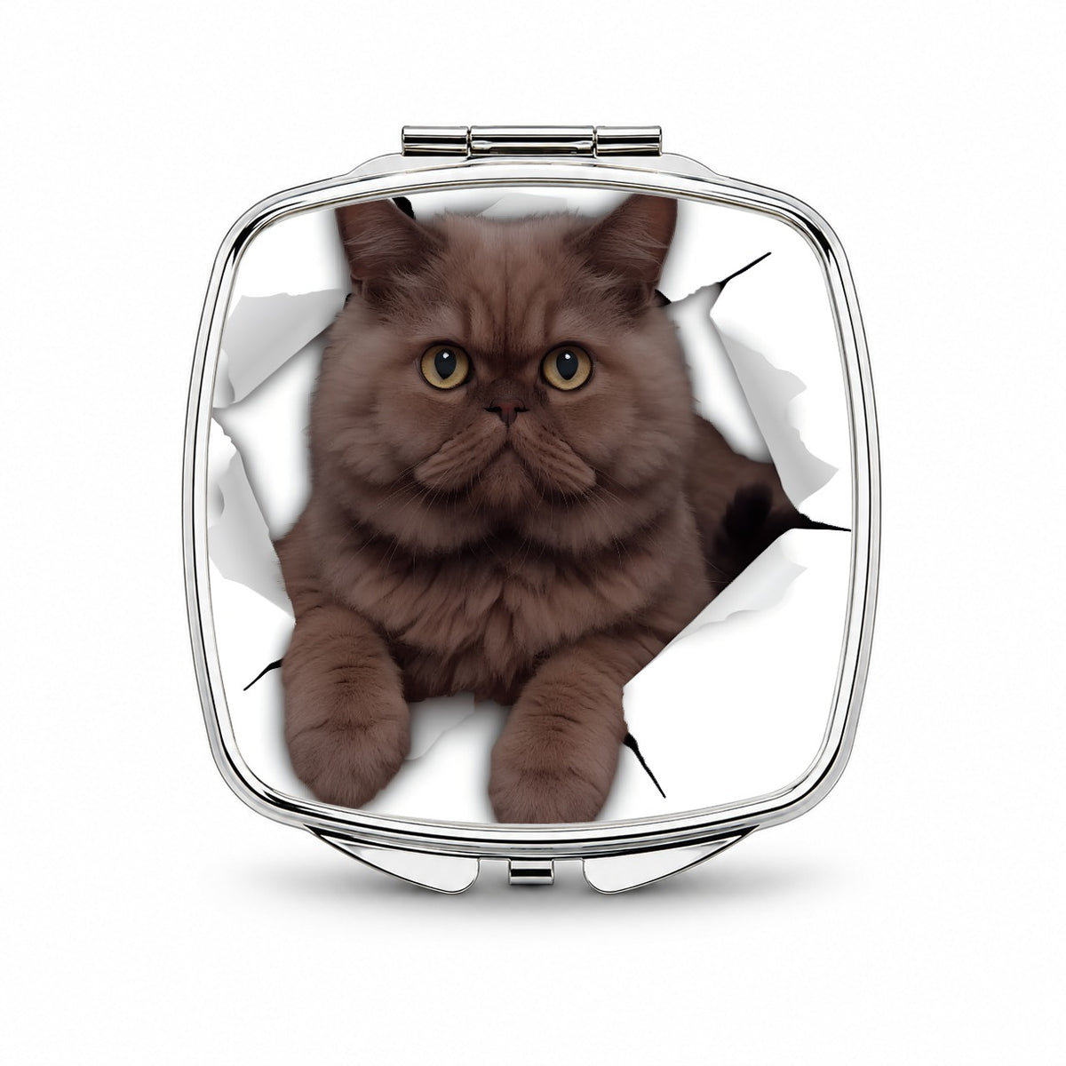 Persian Cat Breakout Small Travel Purse Handbag Pocket Makeup Compact Mirror