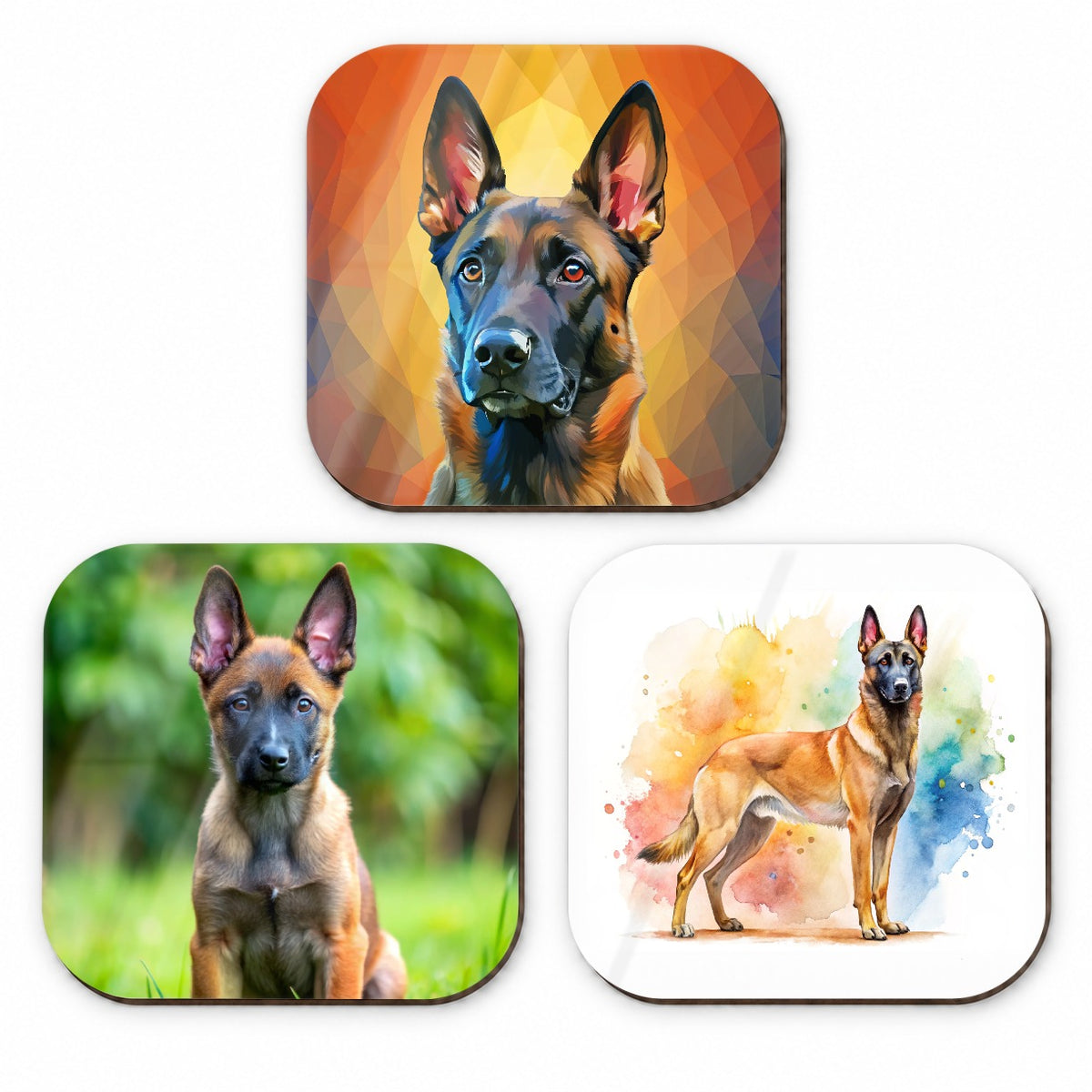 Belgian Malinois Dog Modern Photo Art Fridge Magnet Set