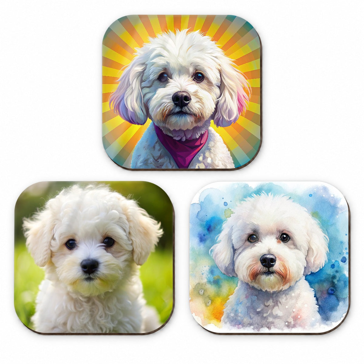 Bichon Frise Dog Modern Photo Art Fridge Magnet Set