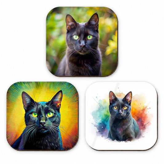 Black Cat Modern Photo Art Fridge Magnet Set