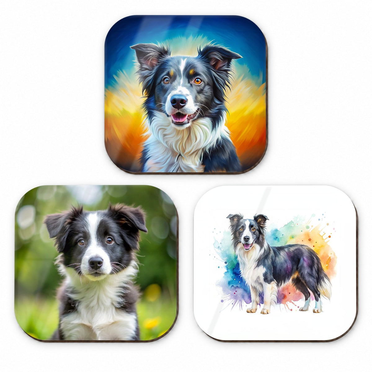 Border Collie Dog Modern Photo Art Fridge Magnet Set