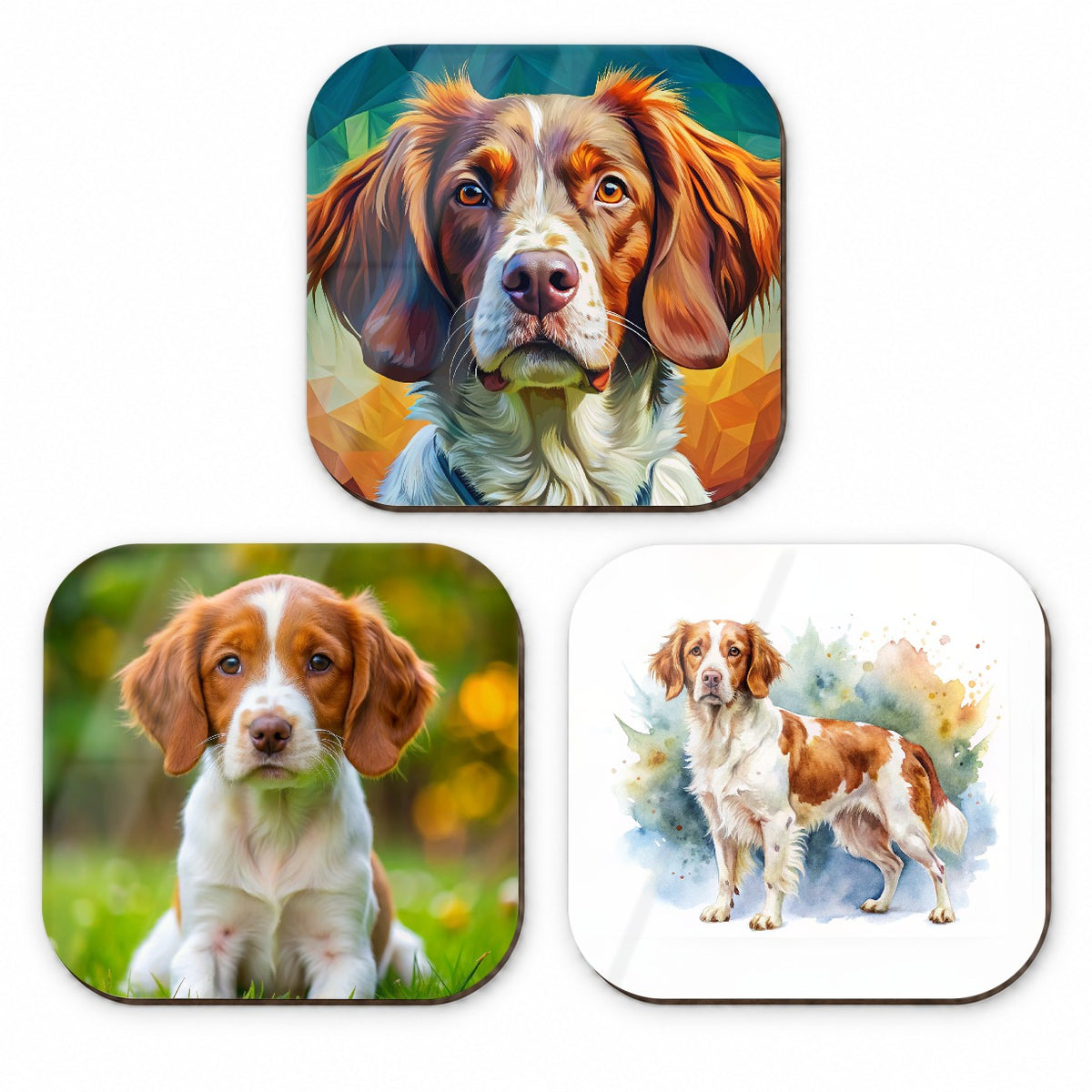 Brittany Spaniel Dog Modern Photo Art Fridge Magnet Set