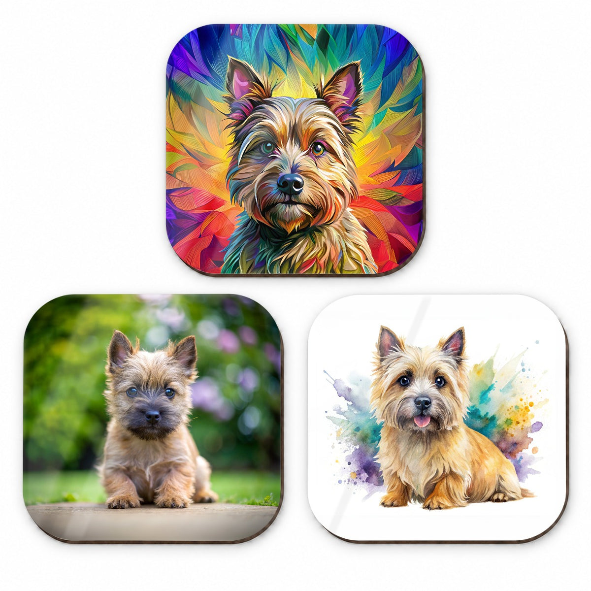 Cairn Terrier Dog Modern Photo Art Fridge Magnet Set