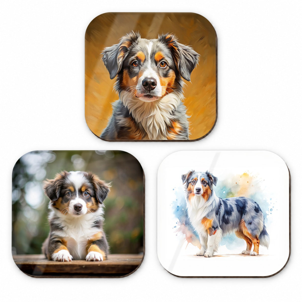 Miniature American Shepherd Dog Modern Photo Art Fridge Magnet Set