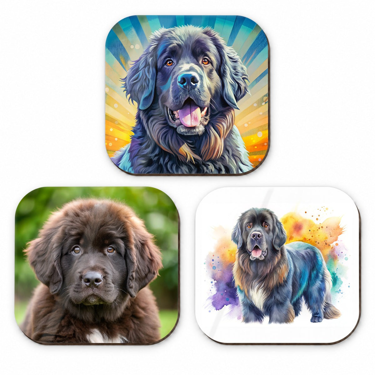 Newfoundland Dog Modern Photo Art Fridge Magnet Set