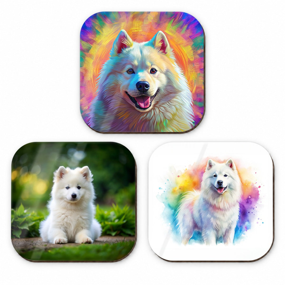 Samoyed Dog Modern Photo Art Fridge Magnet Set