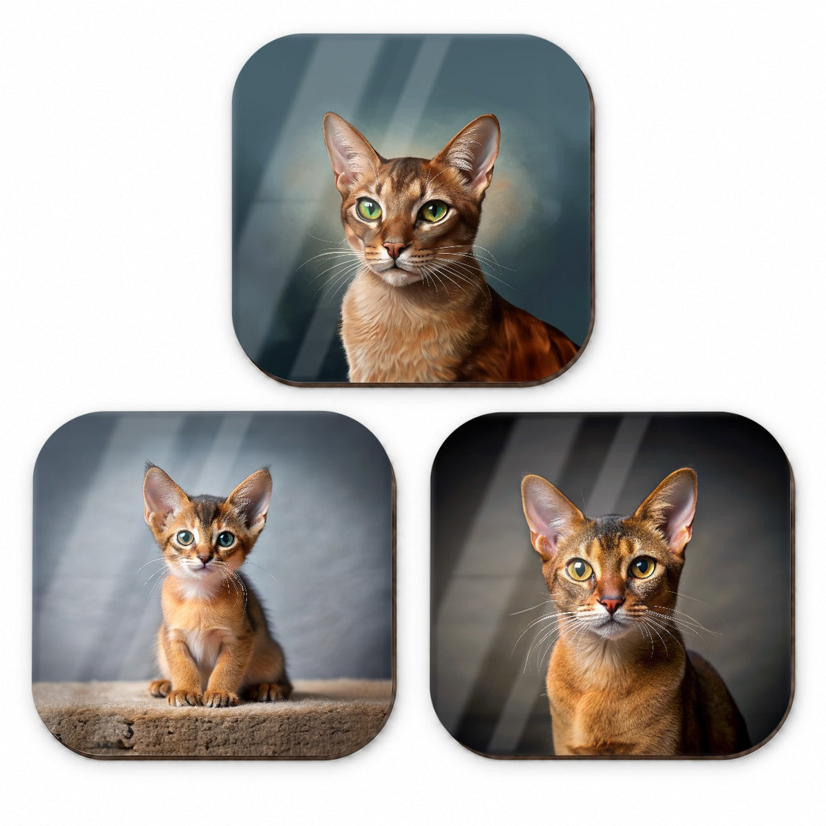 Abyssinian Cat Photo Illustration Fridge Magnet Set