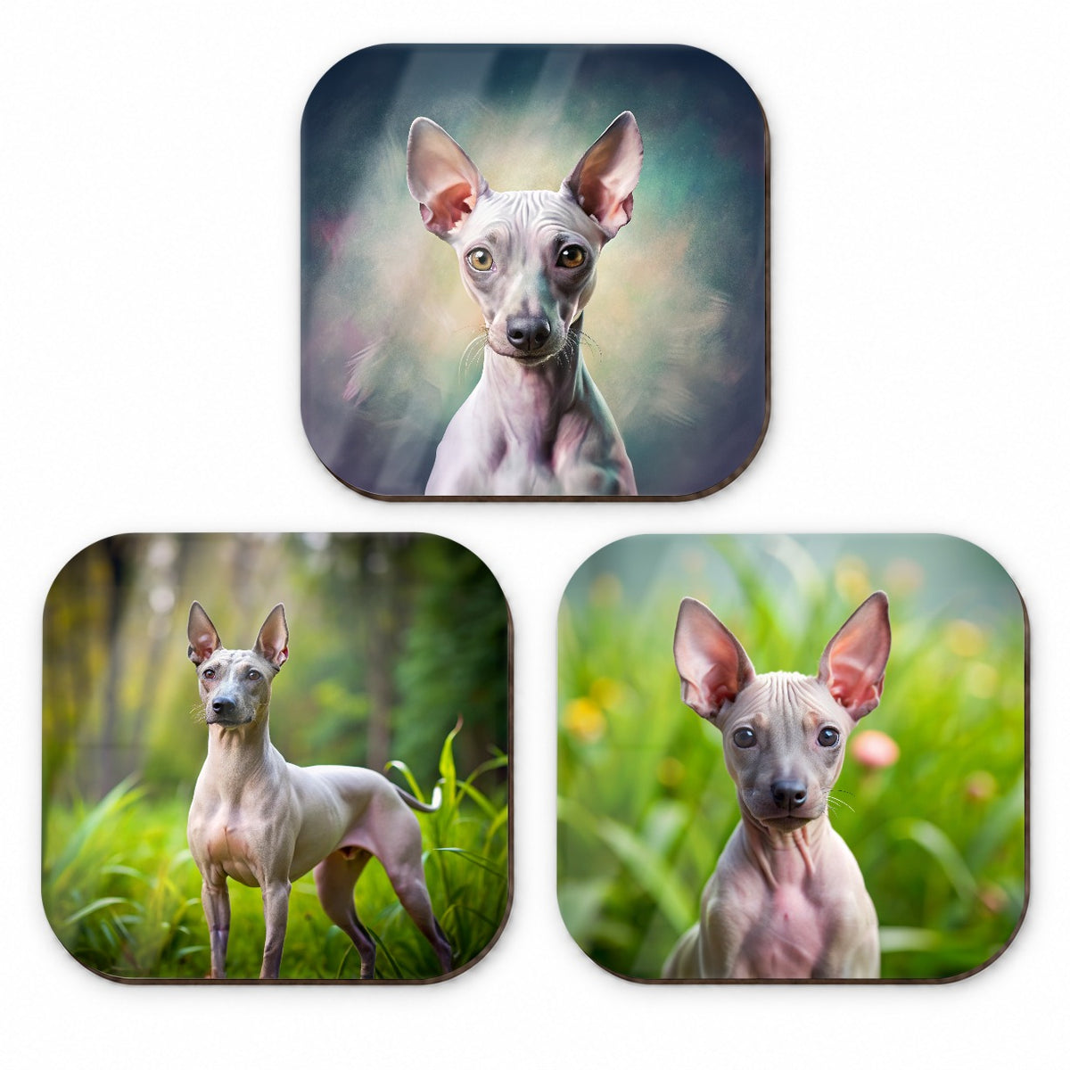American Hairless Terrier Dog Photo Illustration Fridge Magnet Set