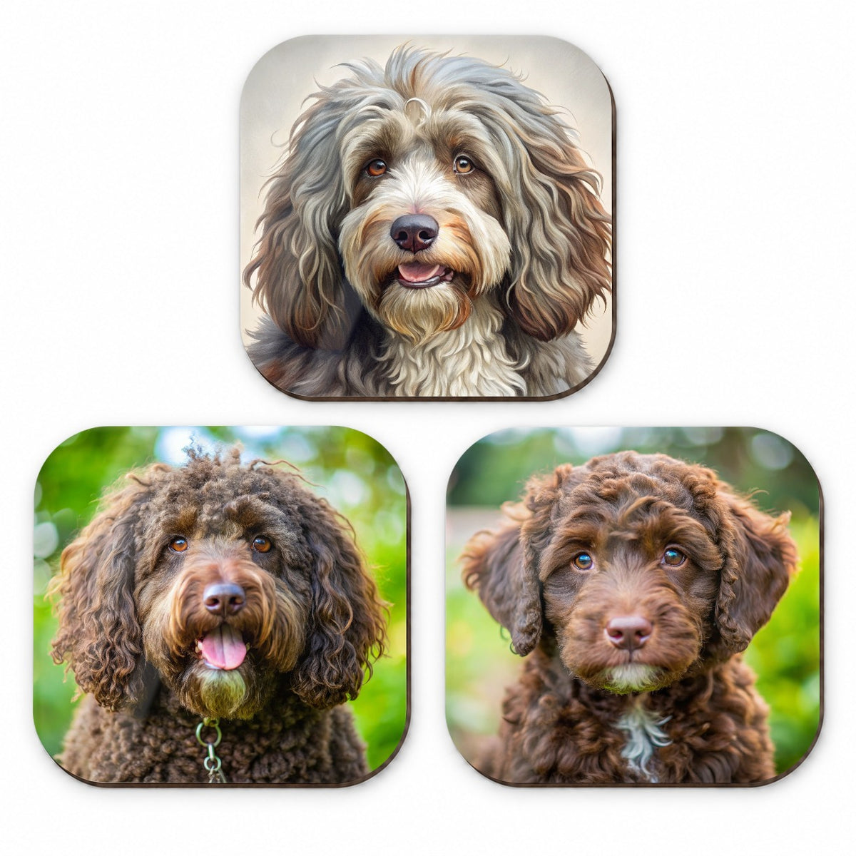 Barbet Dog Photo Illustration Fridge Magnet Set