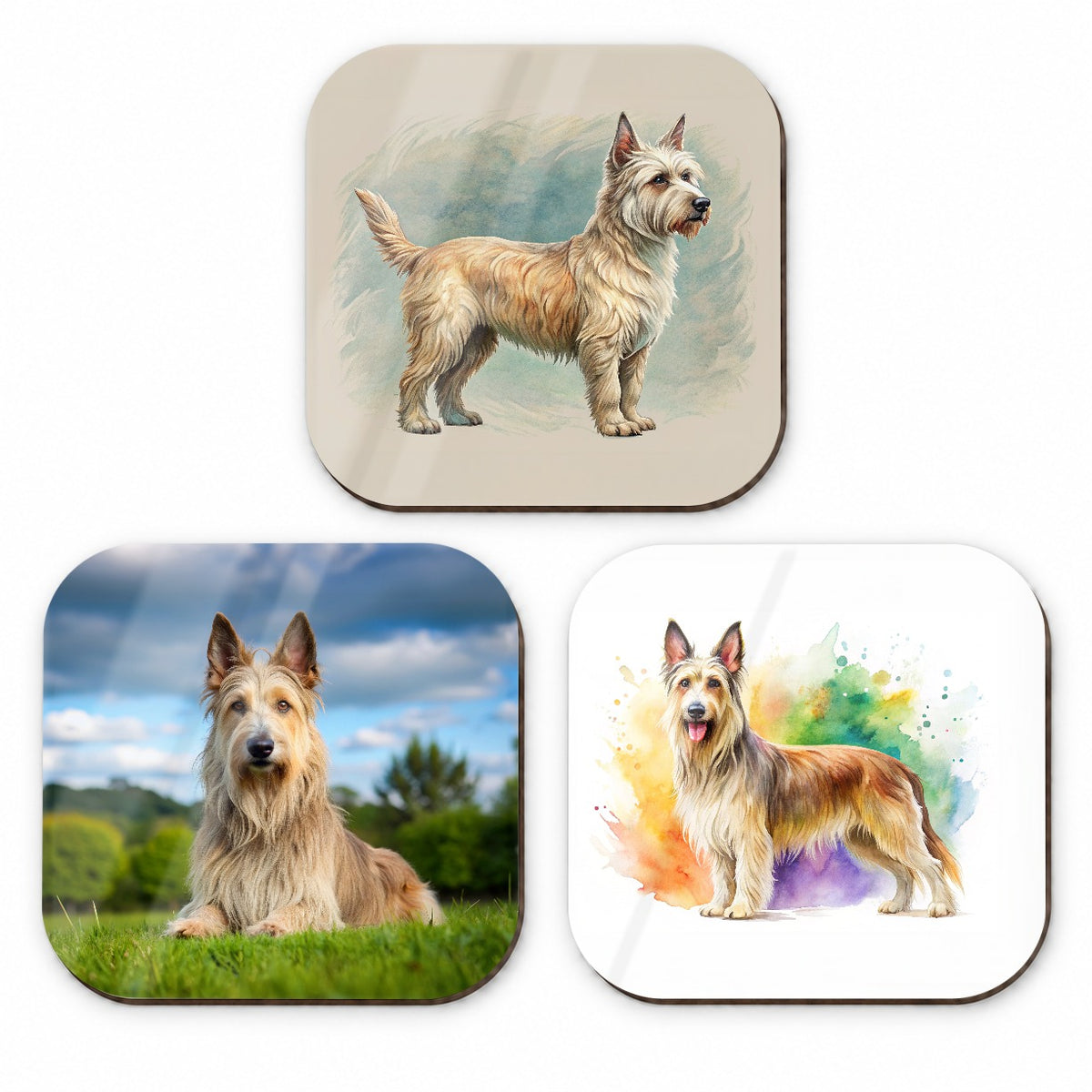 Berger Picard Dog Modern Photo Art Fridge Magnet Set