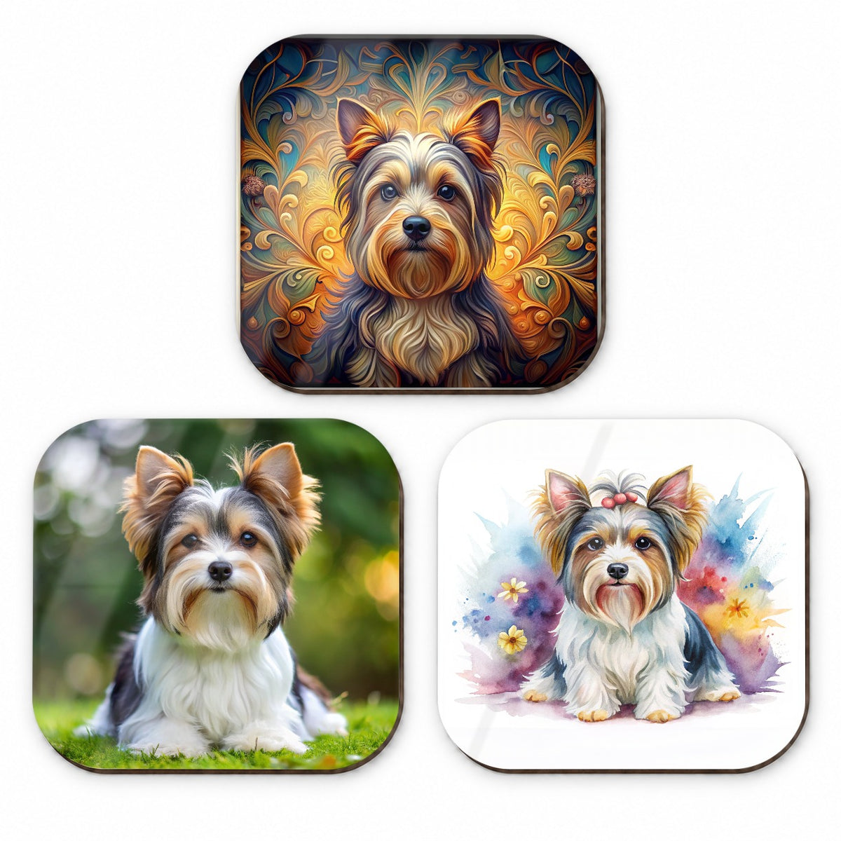Biewer Terrier Dog Modern Photo Art Fridge Magnet Set