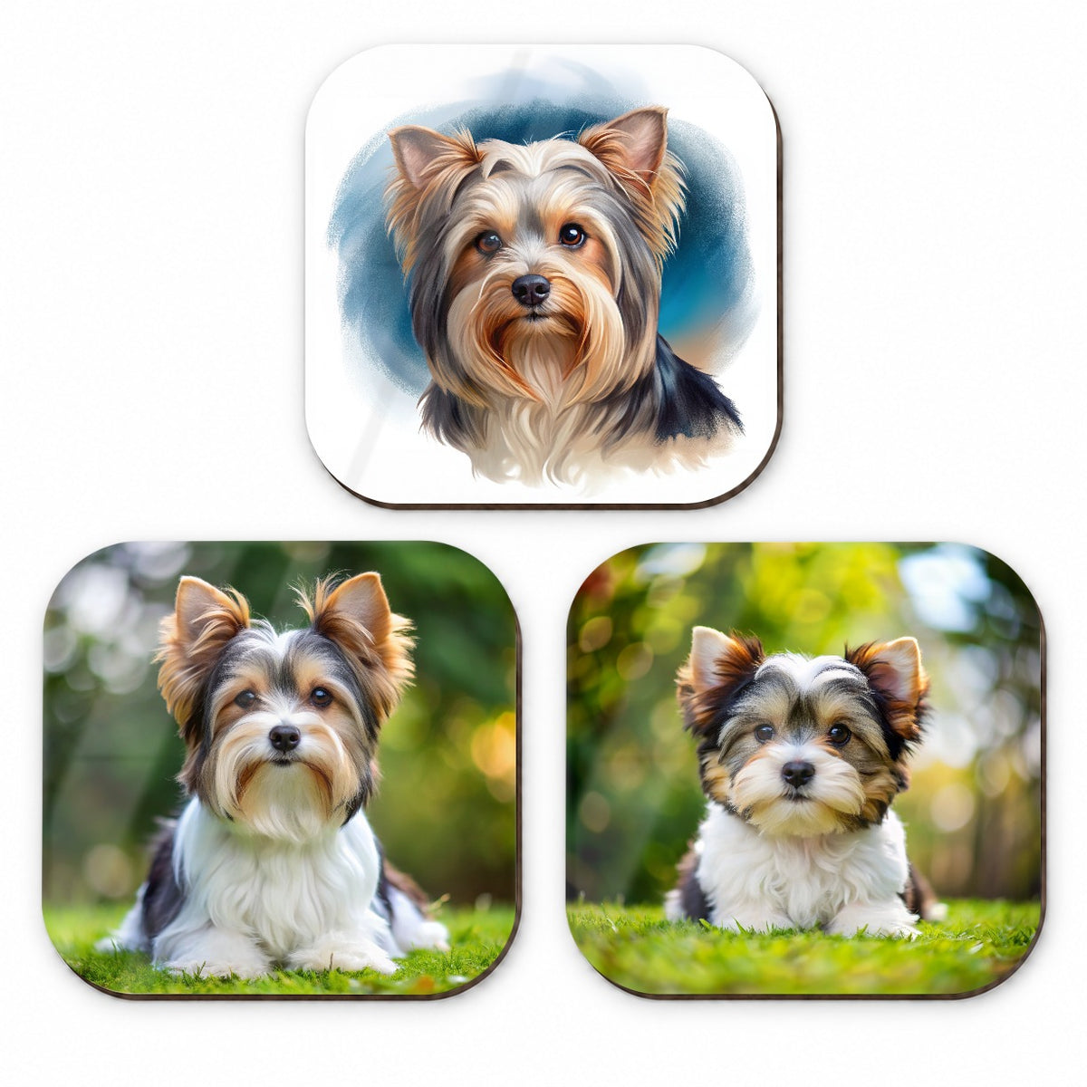 Biewer Terrier Dog Photo Illustration Fridge Magnet Set
