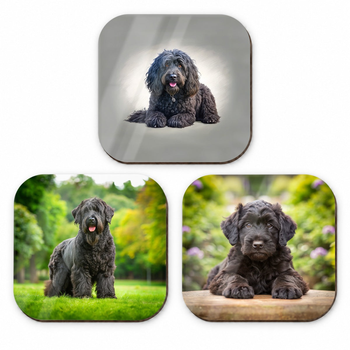 Black Russian Terrier Dog Photo Illustration Fridge Magnet Set