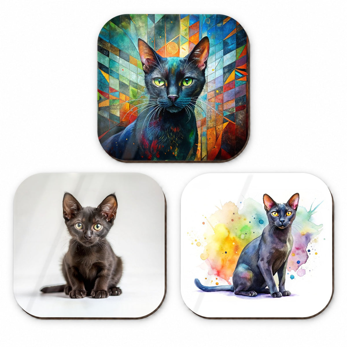 Bombay Black Cat Modern Photo Art Fridge Magnet Set
