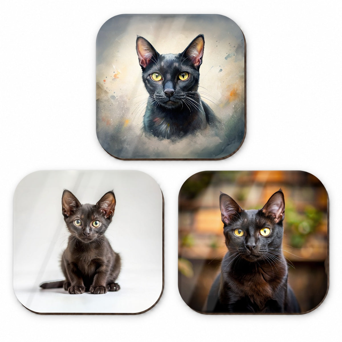 Bombay Black Cat Photo Illustration Fridge Magnet Set