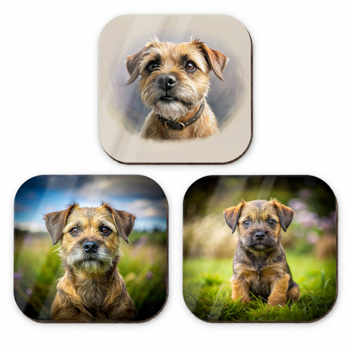 Border Terrier Dog Photo Illustration Fridge Magnet Set