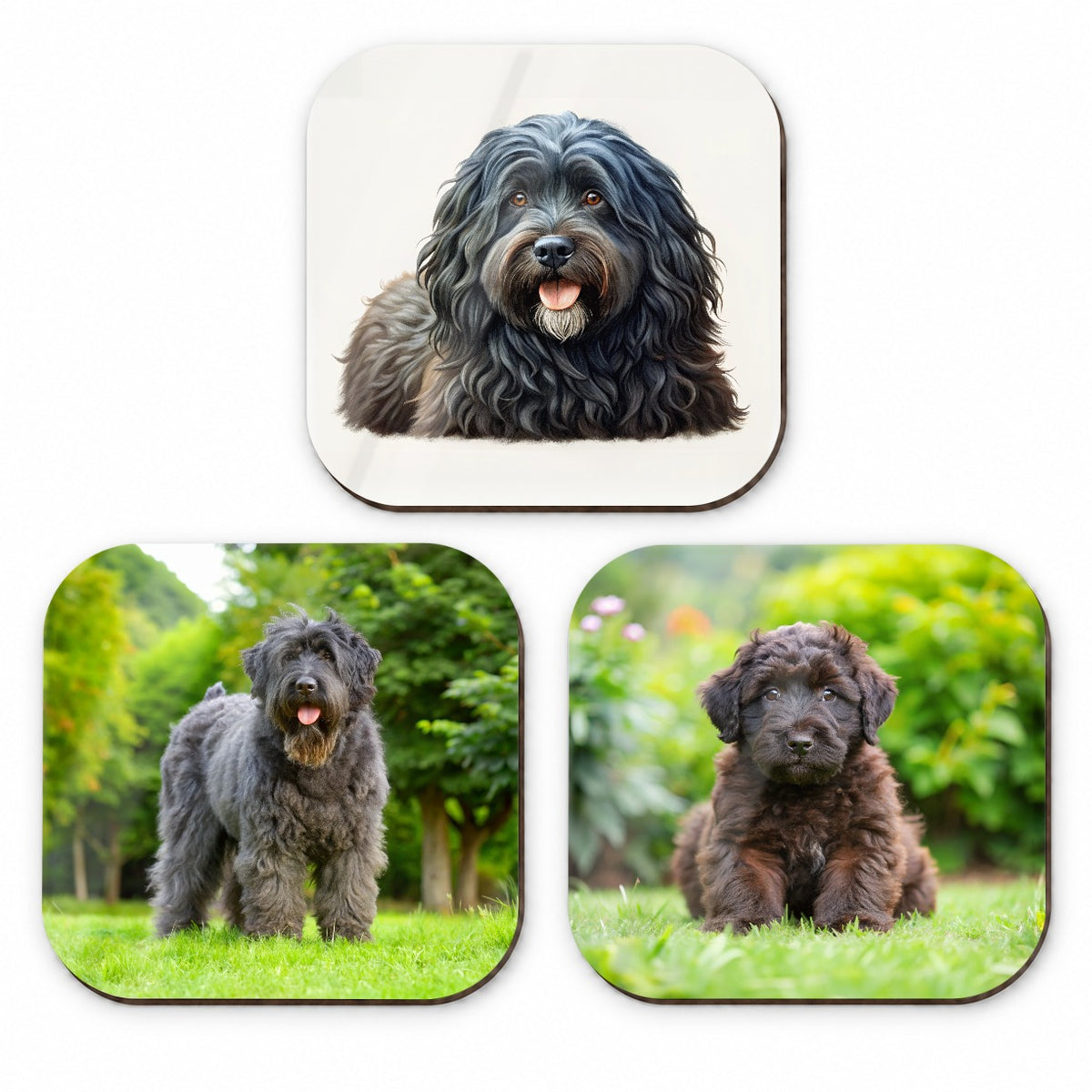 Bouviers Des Flandres Dog Photo Illustration Fridge Magnet Set