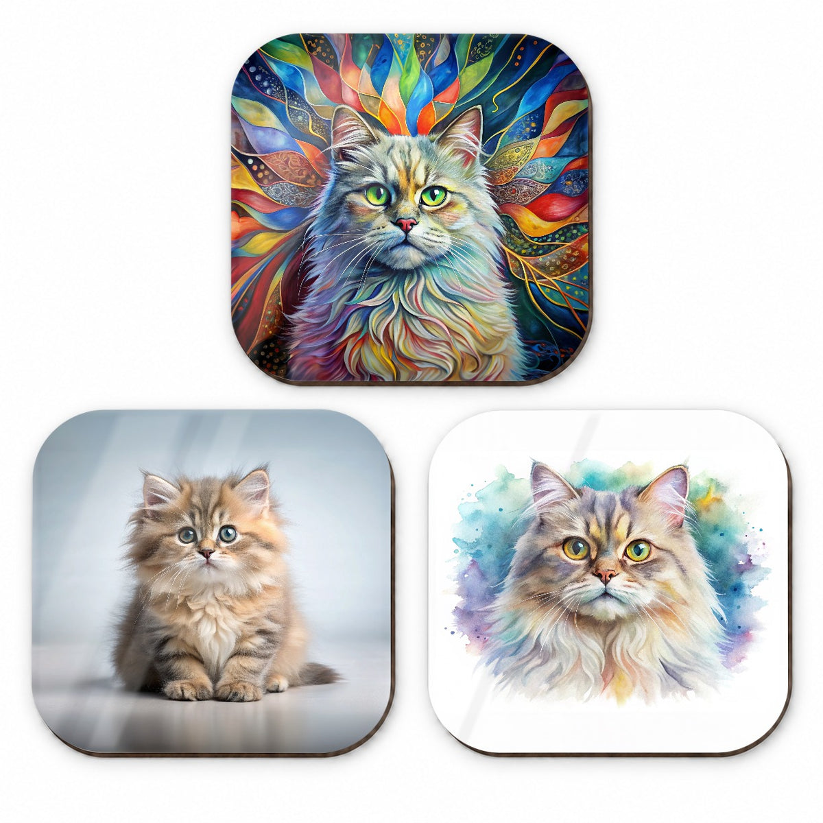 British Longhair Cat Modern Photo Art Fridge Magnet Set