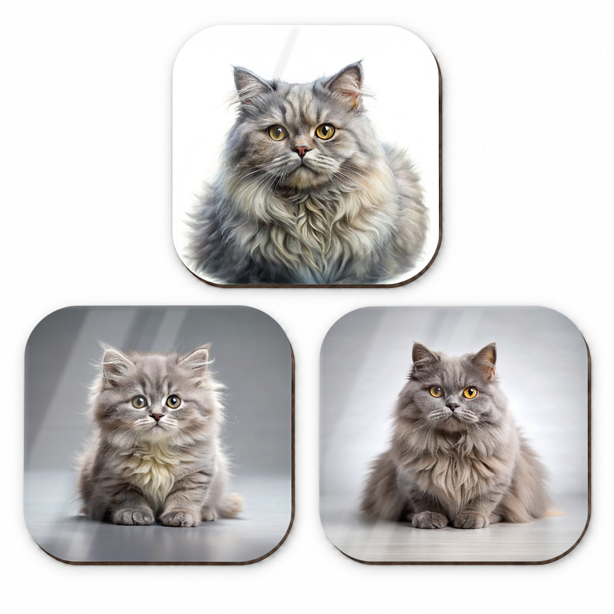 British Longhair Gray Cat Photo Illustration Fridge Magnet Set