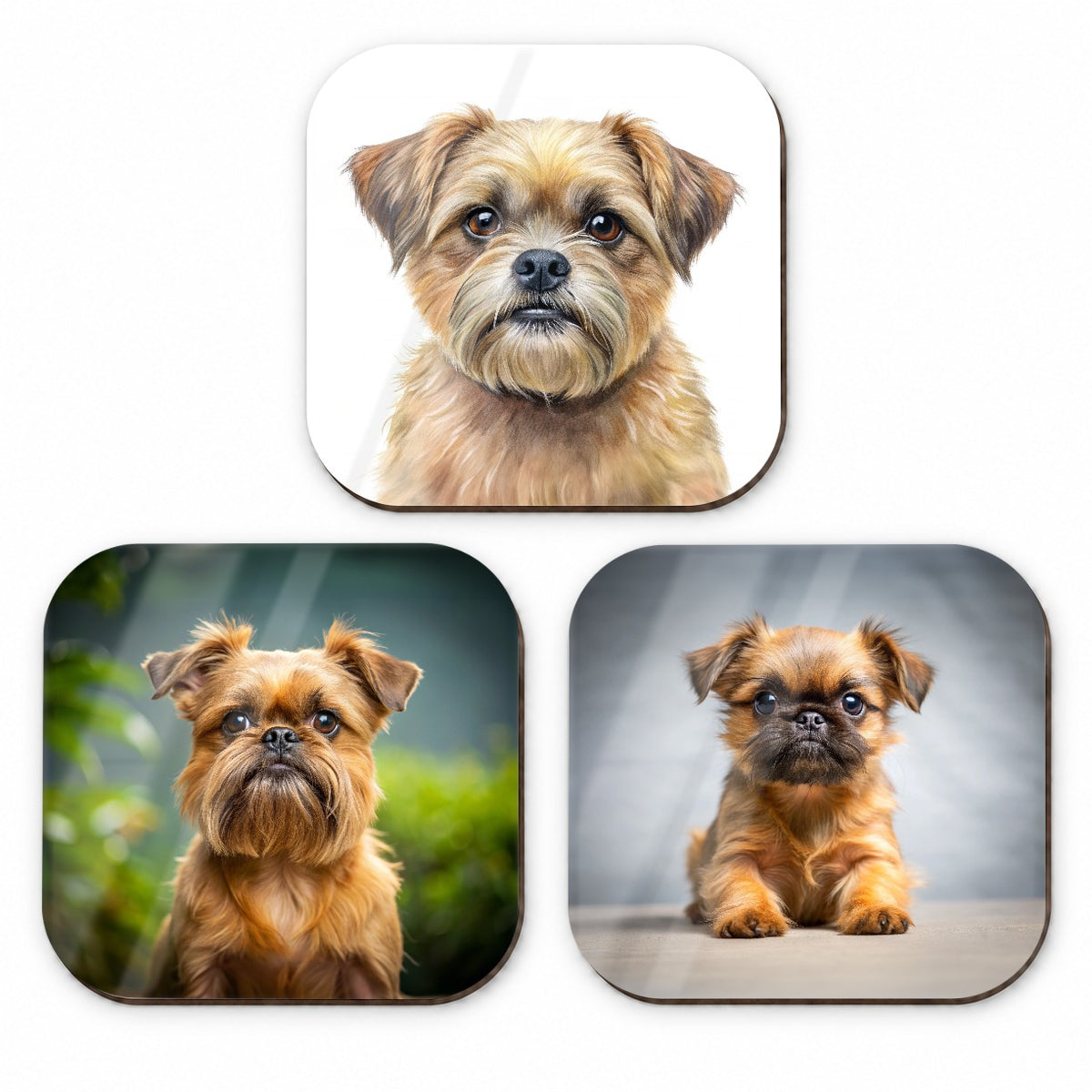 Brussels Griffon Dog Photo Illustration Fridge Magnet Set