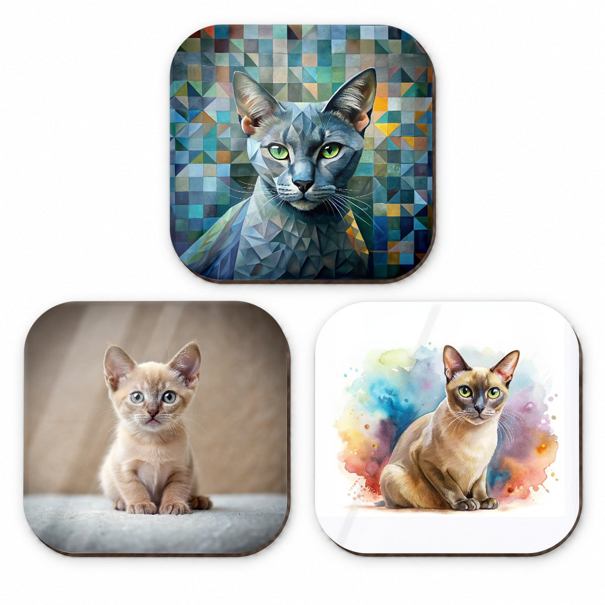 Burmese Cat Modern Photo Art Fridge Magnet Set