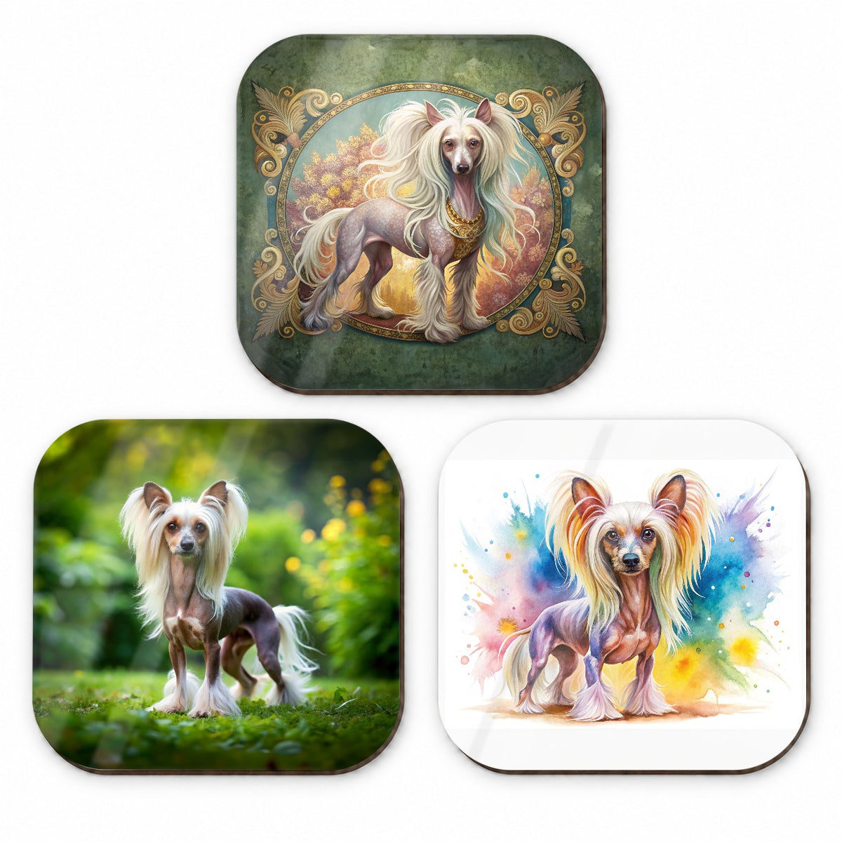 Chinese Crested Dog Modern Photo Art Fridge Magnet Set
