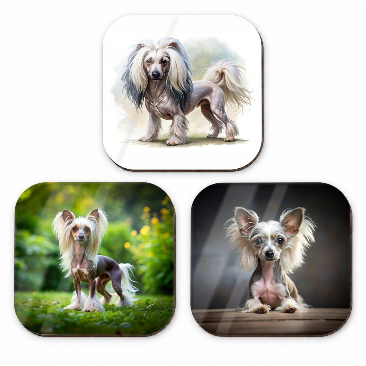 Chinese Crested Dog Photo Illustration Fridge Magnet Set