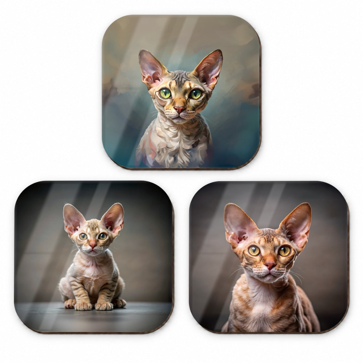 Devon Rex Cat Photo Illustration Fridge Magnet Set
