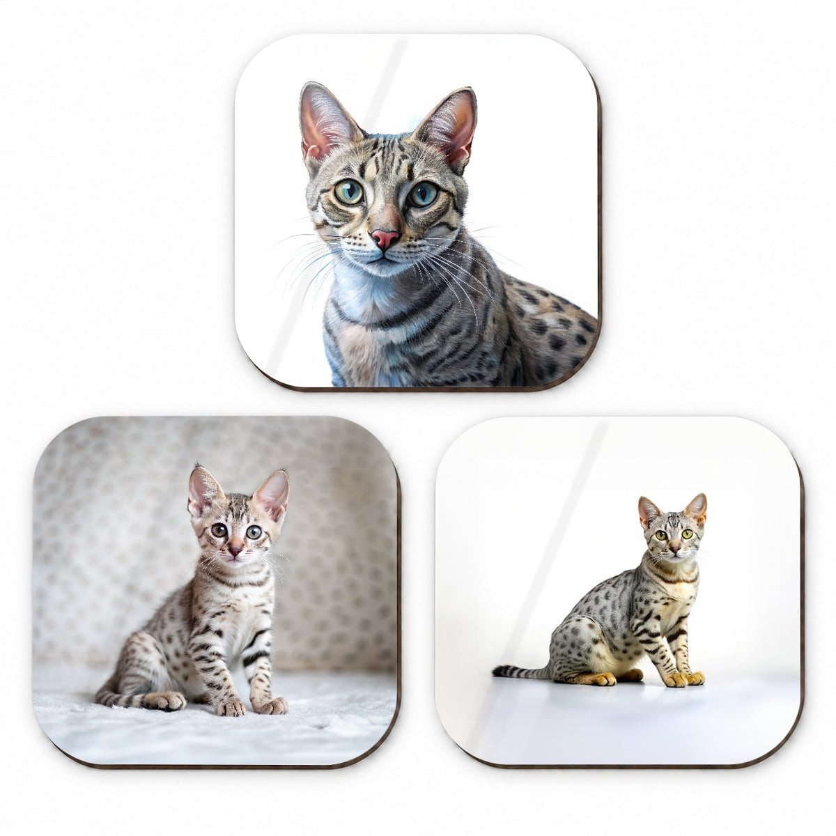 Egyptian Mau Cat Photo Illustration Fridge Magnet Set
