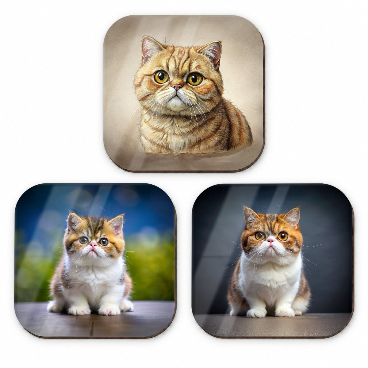 Exotic Shorthair Cat Photo Illustration Fridge Magnet Set