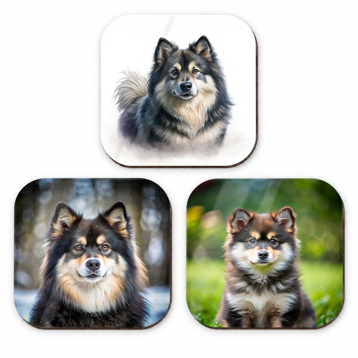 Finnish Lapphund Dog Photo Illustration Fridge Magnet Set