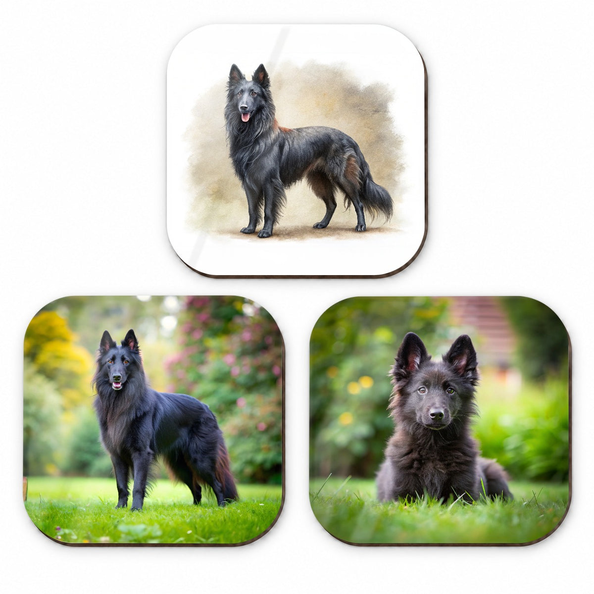 Groenendael Belgian Sheepdog Dog Photo Illustration Fridge Magnet Set
