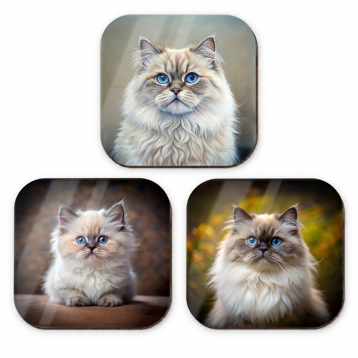 Himalayan Cat Photo Illustration Fridge Magnet Set