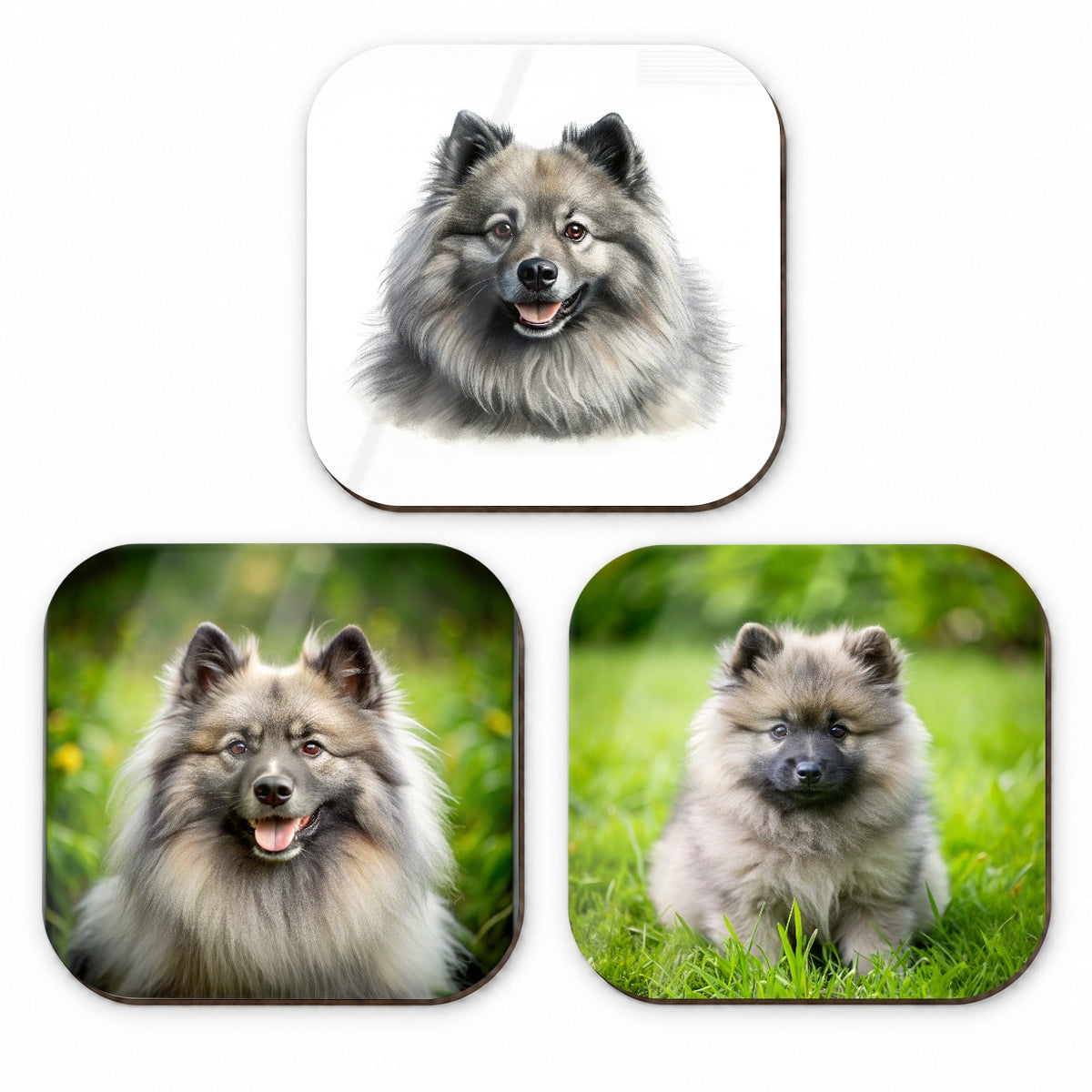 Keeshond Dog Photo Illustration Fridge Magnet Set