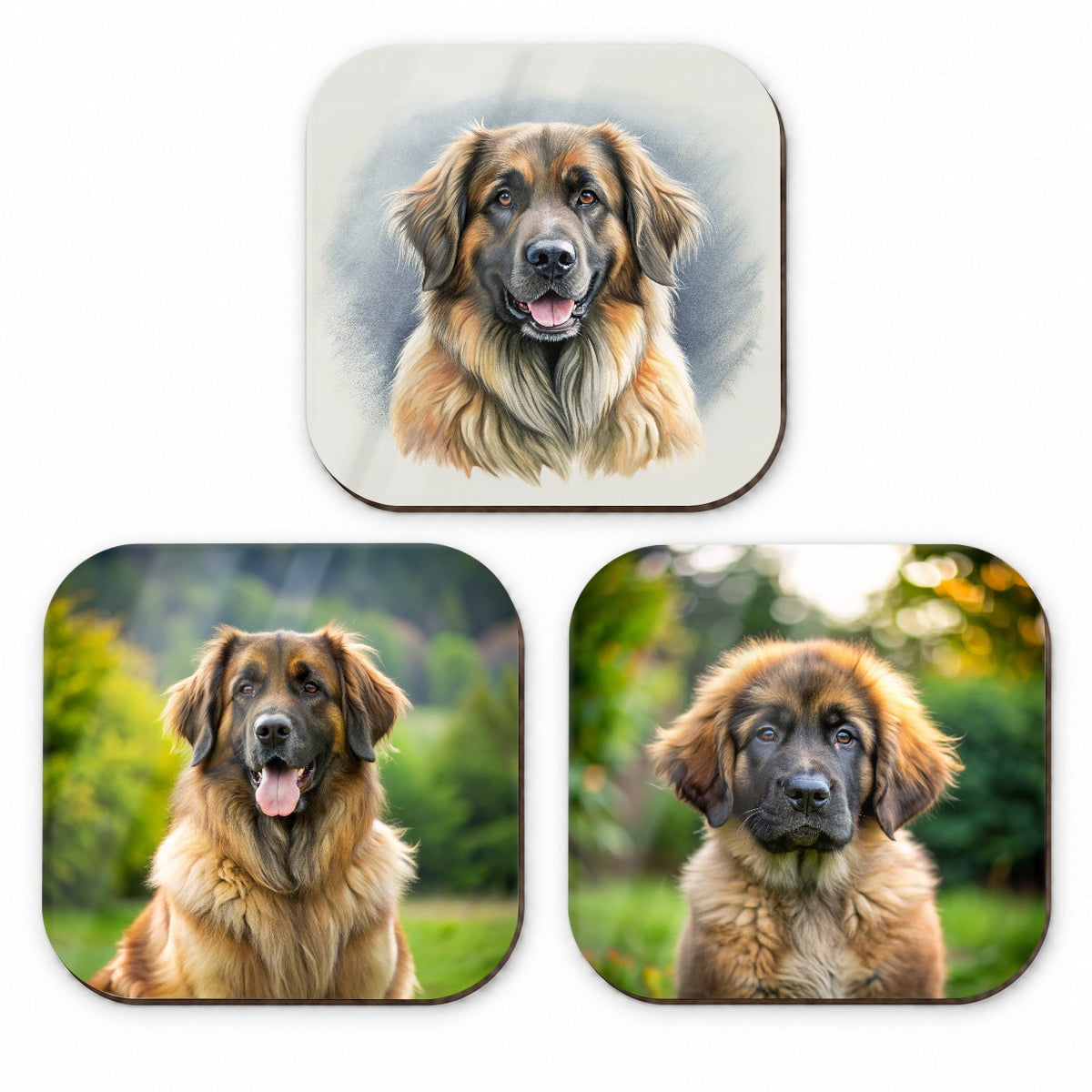 Leonberger Dog Photo Illustration Fridge Magnet Set