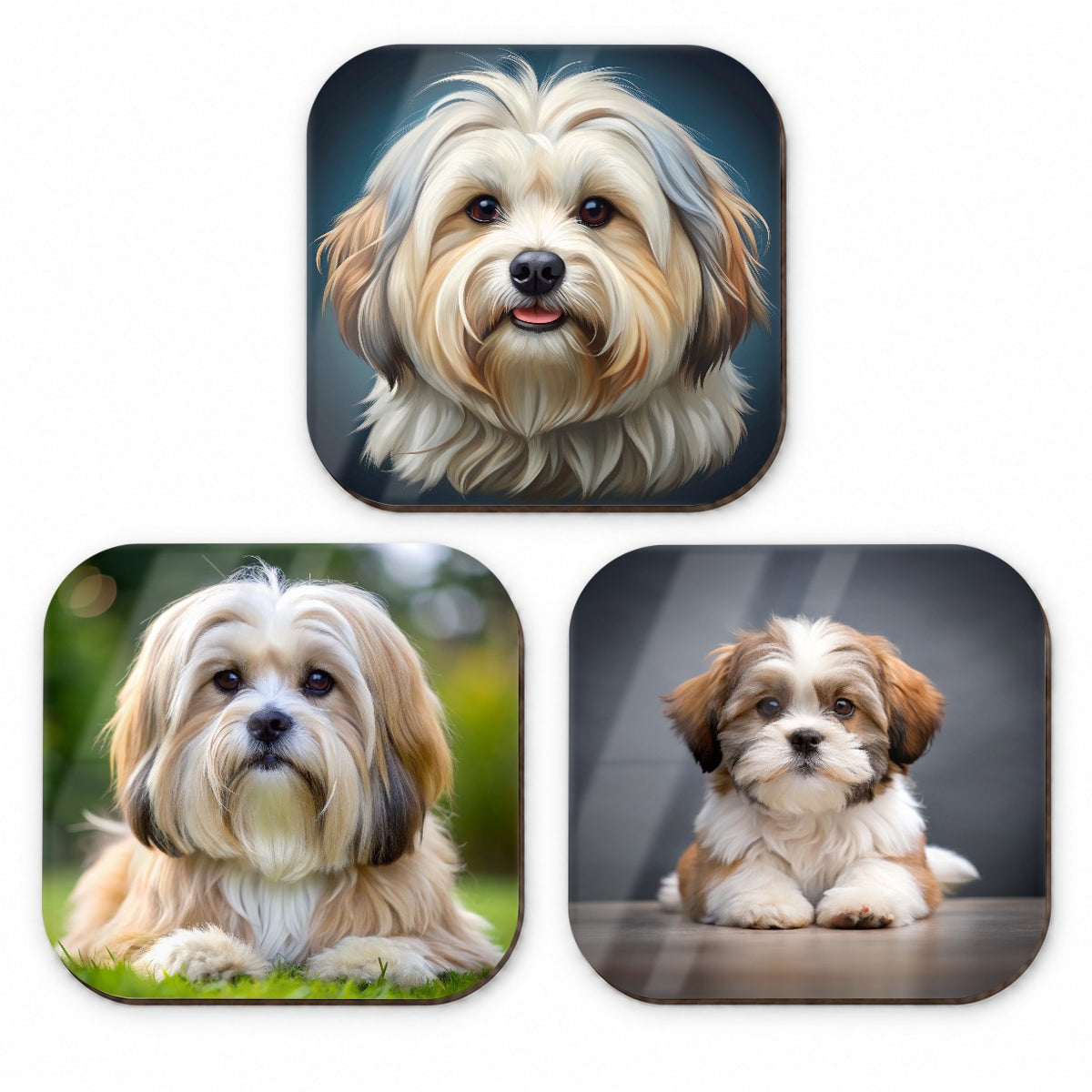 Lhasa Apso Dog Photo Illustration Fridge Magnet Set
