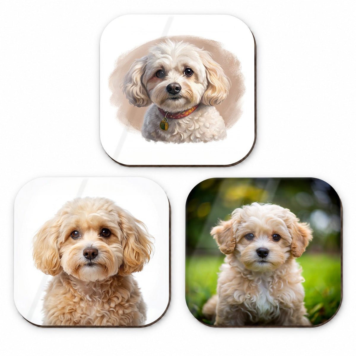 Maltipoo Dog Photo Illustration Fridge Magnet Set